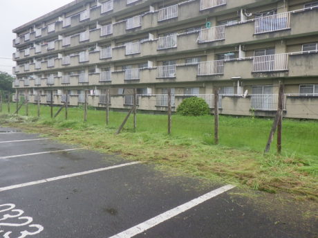 合同宿舎除草作業