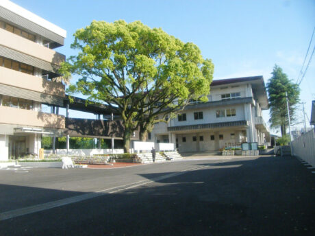 中学校剪定作業