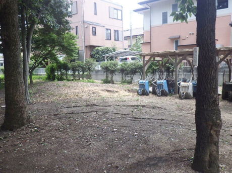 小学校剪定作業