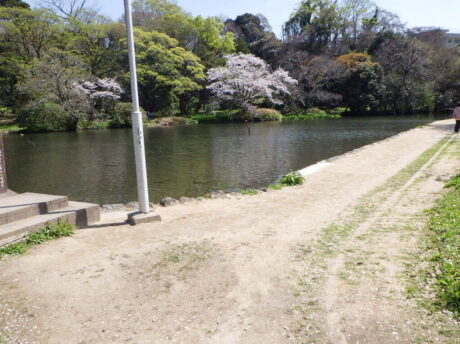 八景水谷　園路改修外工事