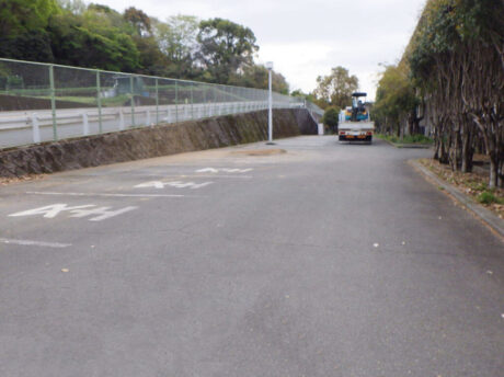 高等学校　校内樹木剪定